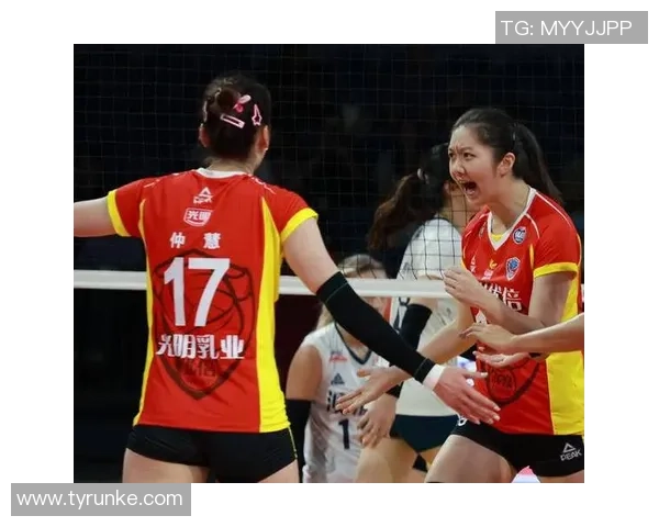 南京排球队个人能力创新高排球新星崭露头角引发关注