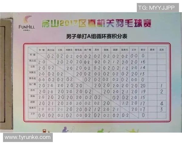杭州羽毛球队实力分析与联赛表现评估探讨