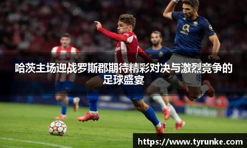 威廉希尔体育
